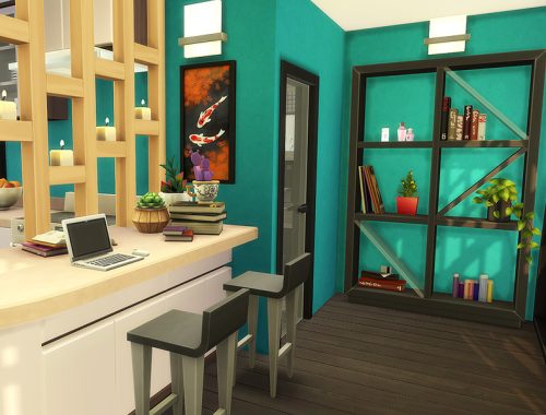 Carolina Modern