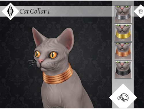 Cat Collar 1 - EP04 Needed