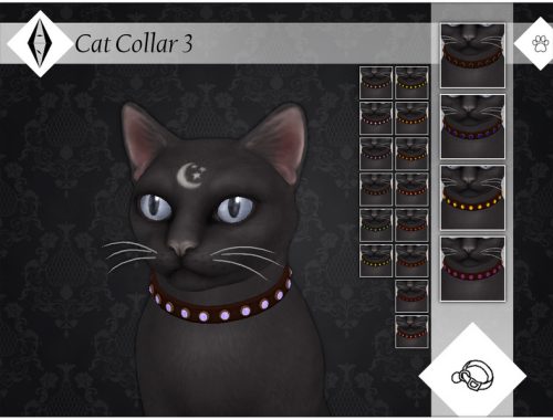 Cat Collar 3 - EP04 Needed
