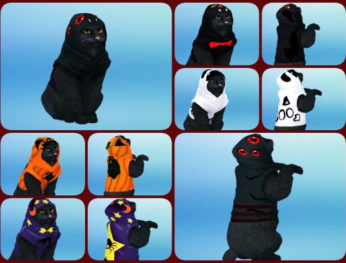 cat costume