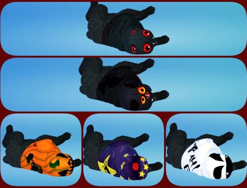 cat costume