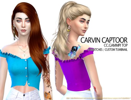 CC.Gammpi top