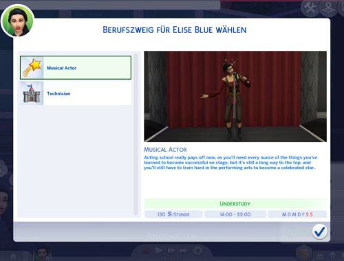 Musical Theatre Career