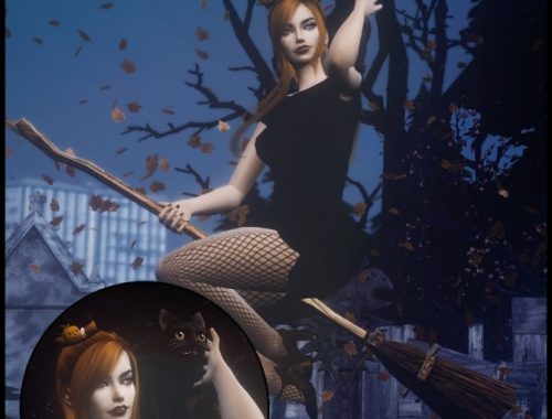 Fly with cat poses at Rethdis-love