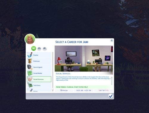Social Services Career