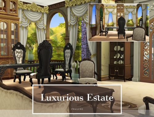 Luxurious Estate