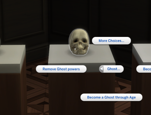 The Skull of Life and Death