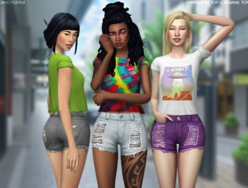 CHAMELEON TOP + IGUANA SHORTS at Candy Sims 4