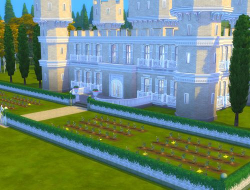 Chateau with French garden and vineyard - NO CC