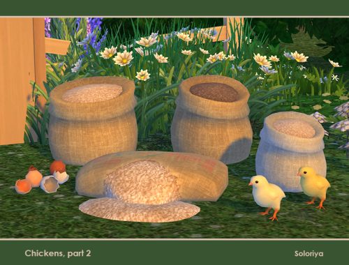 Chickens, Part 2