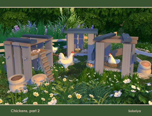 Chickens, Part 2