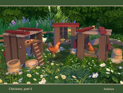Chickens, Part 2