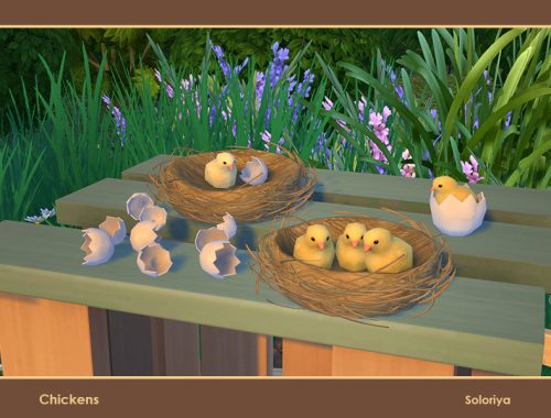 Chickens