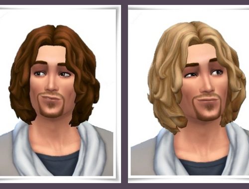 Chin Waves hair for Him at Birksches Sims Blog