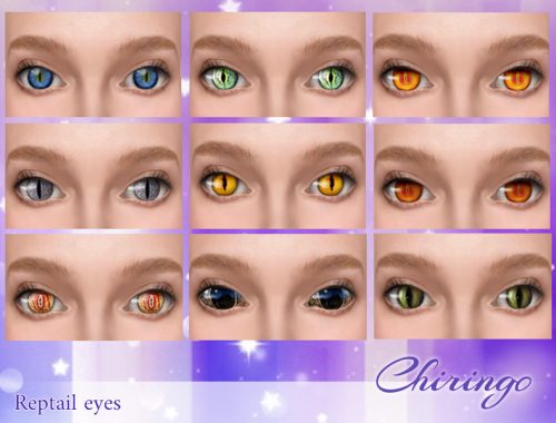 Chiringo reptile eyes