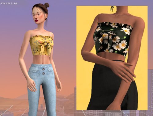 ChloeM-Croptop With Bowknot 2