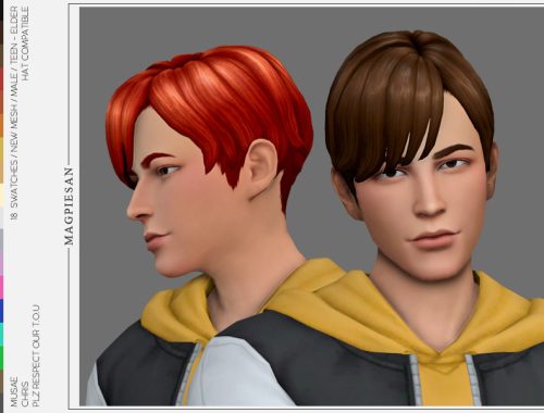 Chris Hair