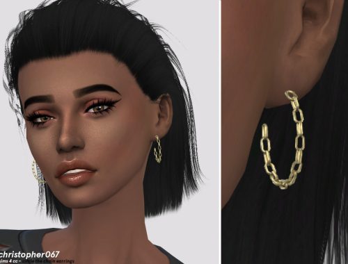 Circle The Chain Earrings / Christopher067