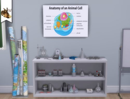 Classroom Posters Set