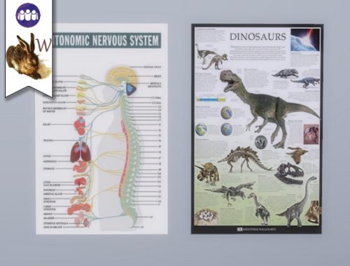 Classroom Posters Set
