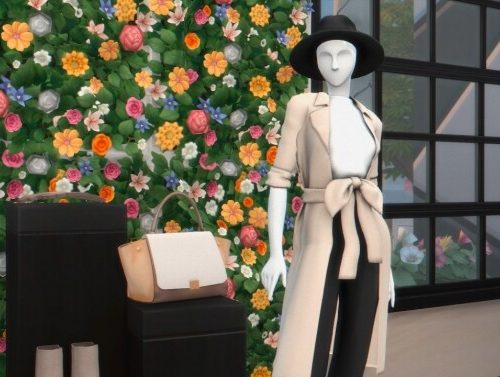 Clothing Store In Del Sol Valley at Anna Frost