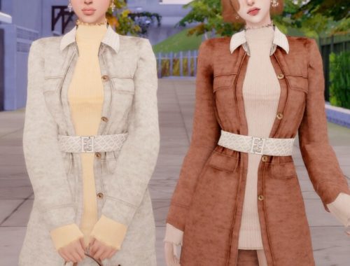 Coat & Turtleneck Dress at RIMINGs