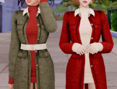 Coat & Turtleneck Dress at RIMINGs