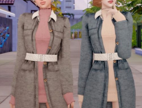 Coat & Turtleneck Dress at RIMINGs