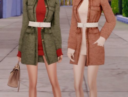 Coat & Turtleneck Dress at RIMINGs
