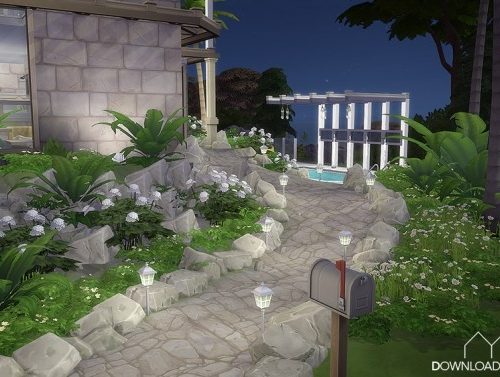 Coconut palms house at DH4S