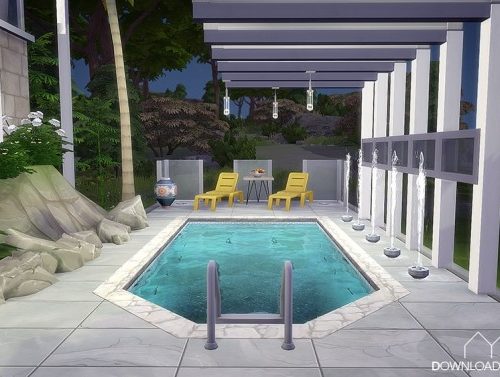 Coconut palms house at DH4S
