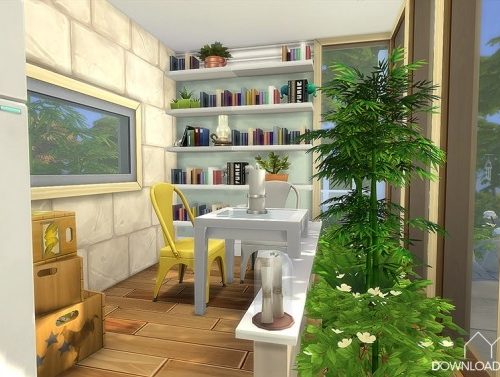 Coconut palms house at DH4S