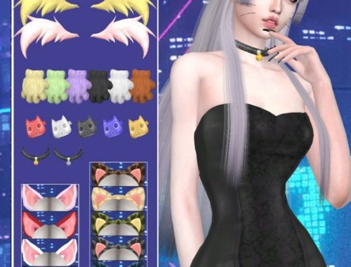 Collection Acc Cats Of City at Jenni Sims