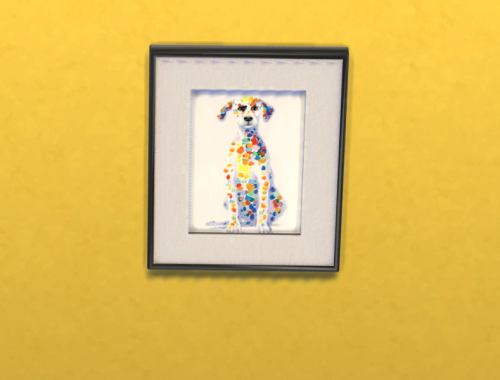 Colorful Pets!