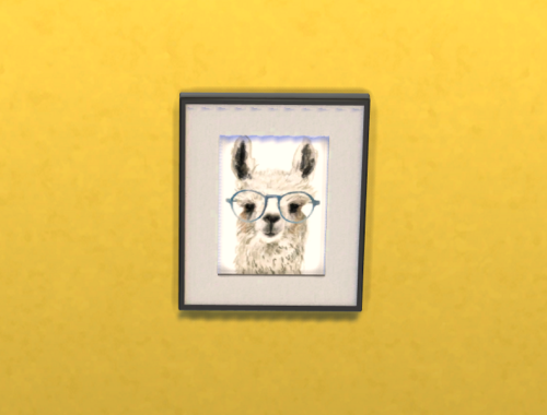 Colorful Pets!