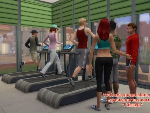 Container gym at Sims by Mulena
