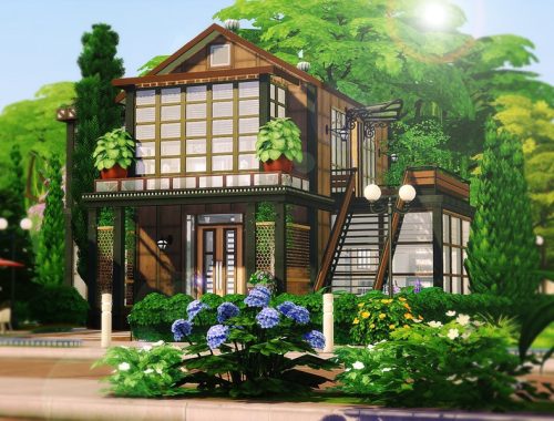 Contemporary Townhouse 2