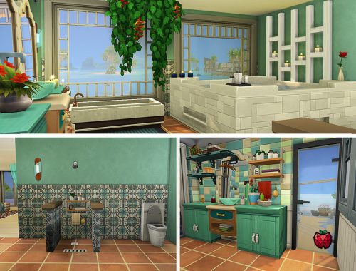 Coral - no cc