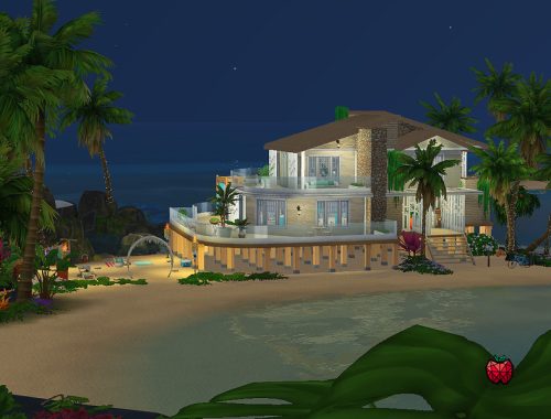 Coral - no cc