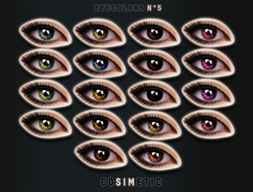 COSIMETIC Eyecolors N5