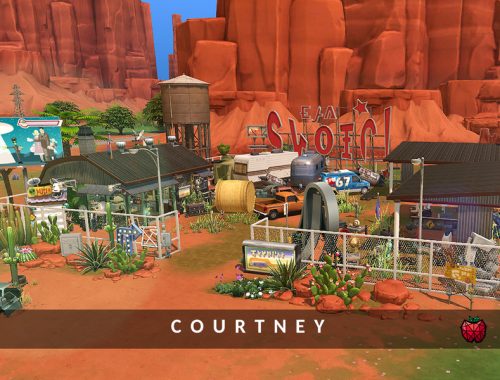 Courtney junkyard - no cc
