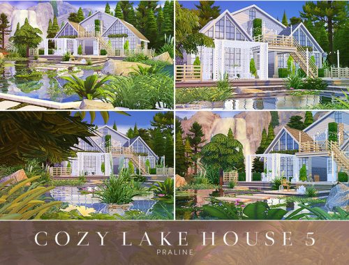Cozy Lake House 5