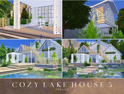 Cozy Lake House 5