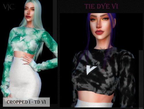 CROPPED I - TD VI