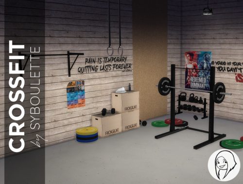 Crossfit Homegym Set