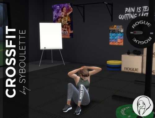 Crossfit Homegym Set