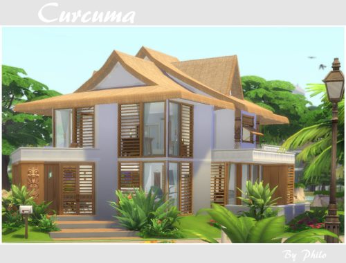 Curcuma (No CC)