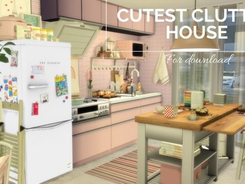 CUTEST CLUTTER HOUSE