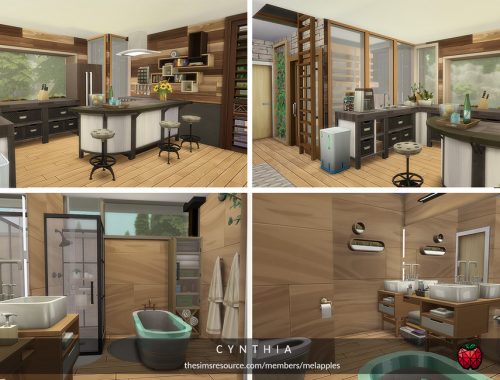Cynthia - small home - no cc