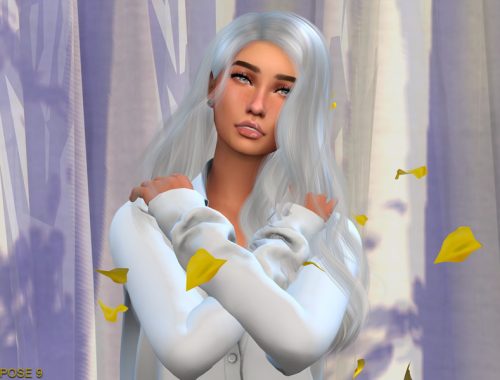 D E L P H I N E   V - Pose Pack